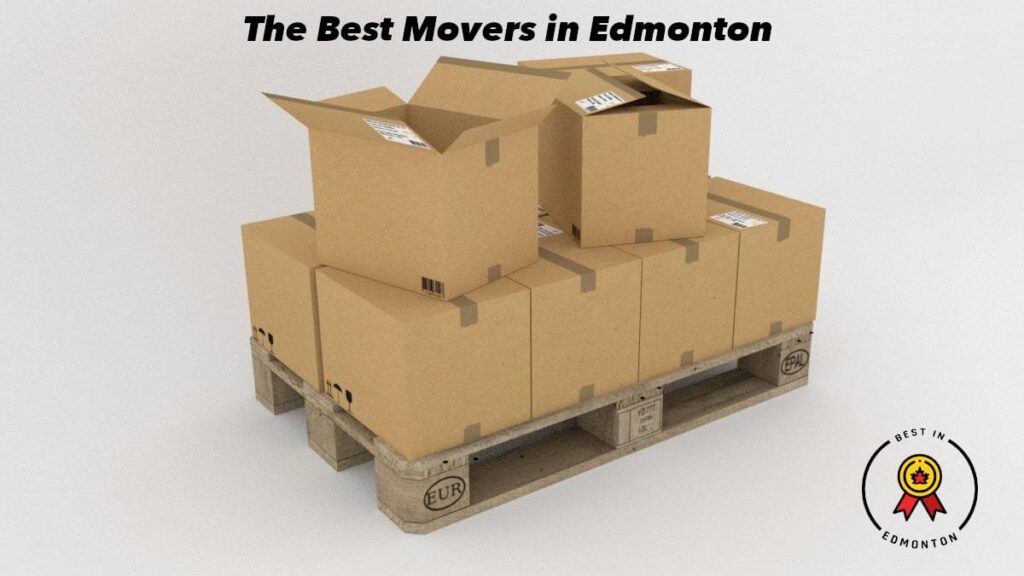 The 13 Best Movers In Edmonton 2022