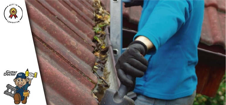Gutter Doctor