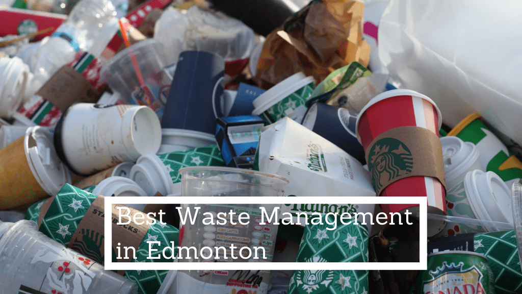 Best Waste Management Services in Edmonton