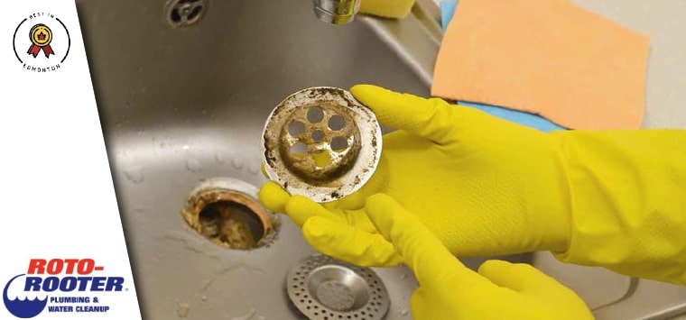 Roto-Rooter Plumbing and Drain Service