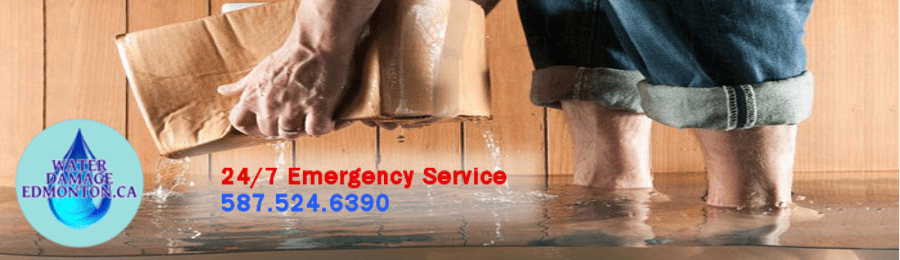 Water Damage Edmonton's Logo