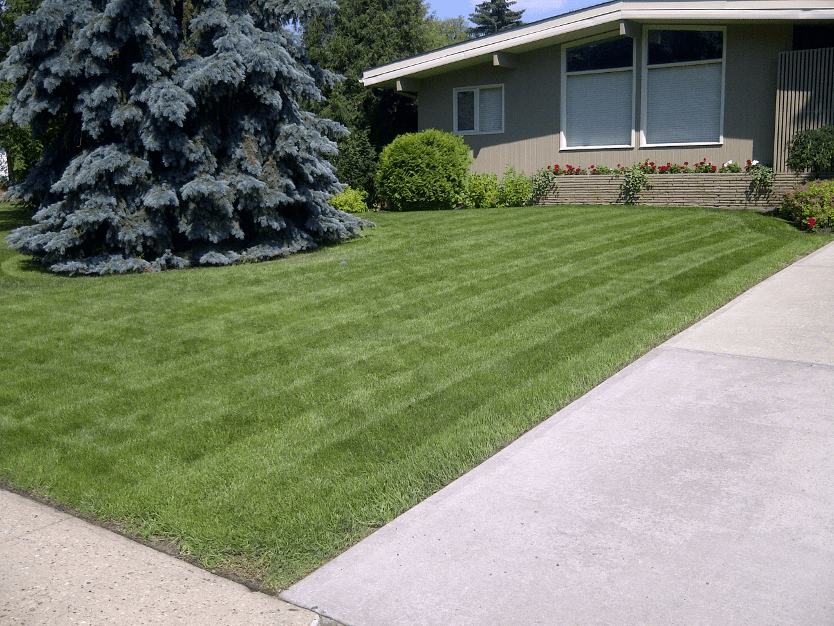 Dave Does Lawns' Homepage