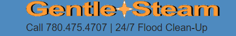 Gentle Steam's Logo