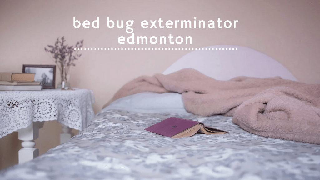 Best Bed Bug Exterminators in Edmonton