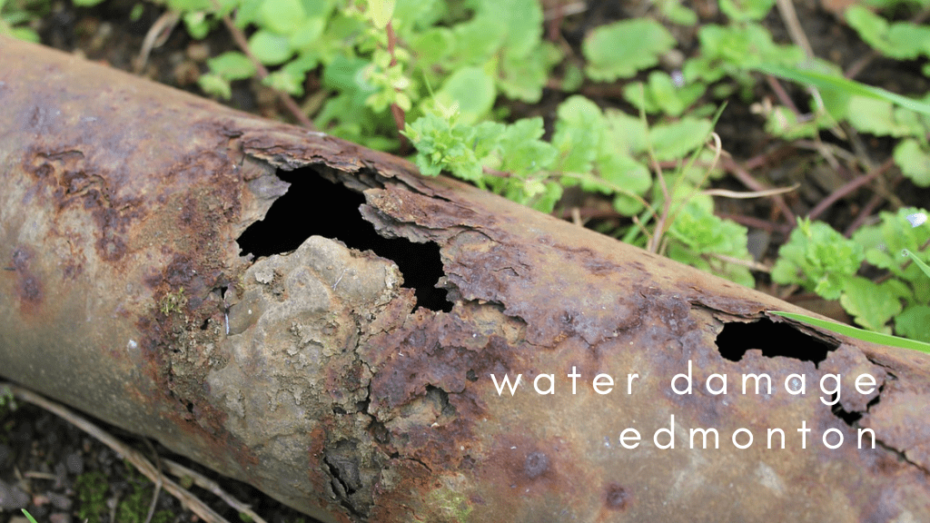 Best Services for Water Damage in Edmonton