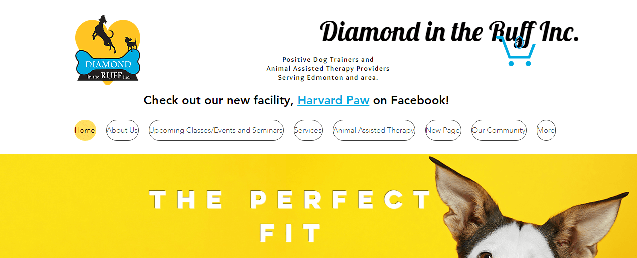 Diamond in The Ruff Inc.'s Homepage