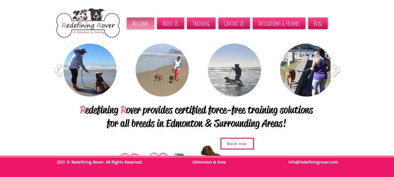 Redefining Rover's Homepage