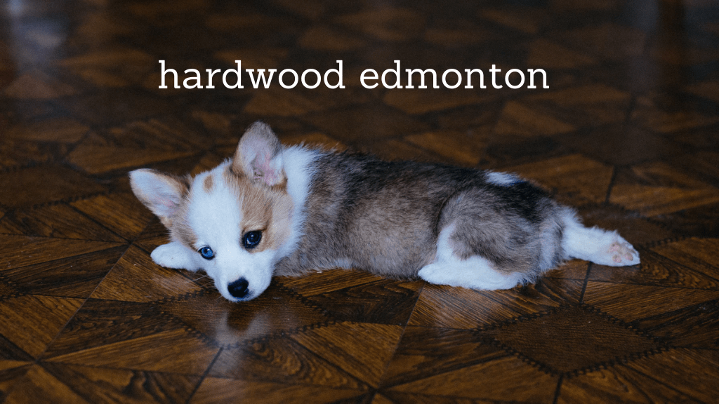 Best Hardwood in Edmonton