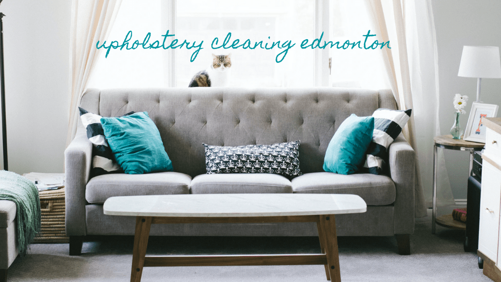 Best Upholstery Cleaning in Edmonton
