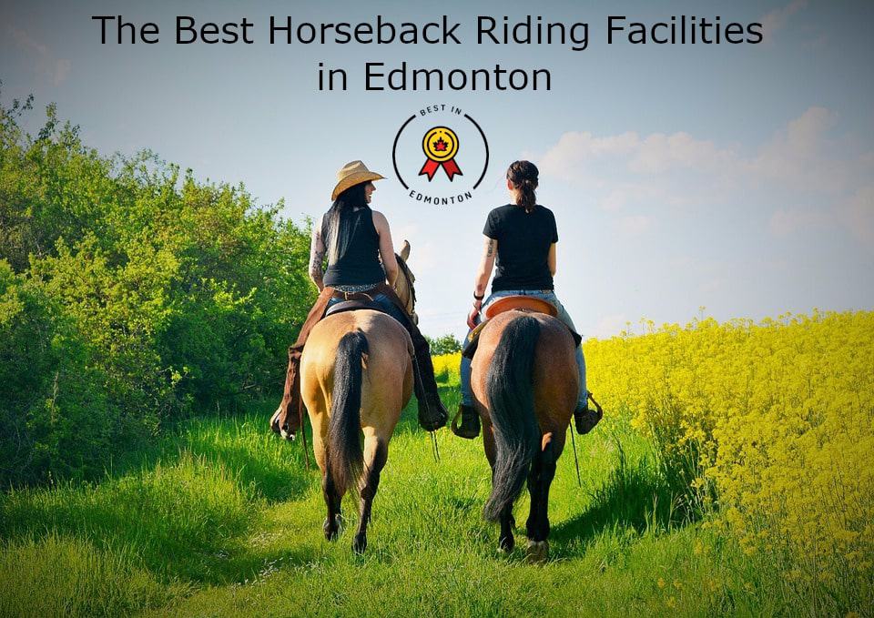 Best Horseback Riding in Edmonton