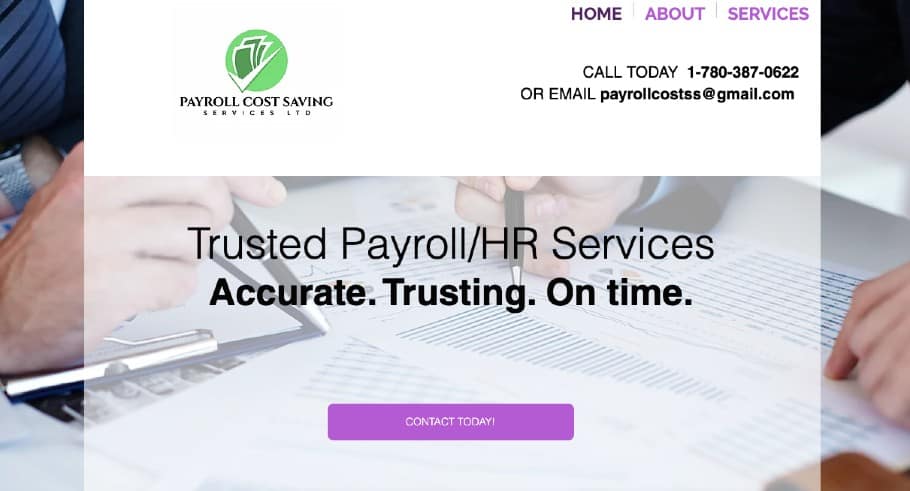 Payroll Cost Saving Service LTD's Homepage