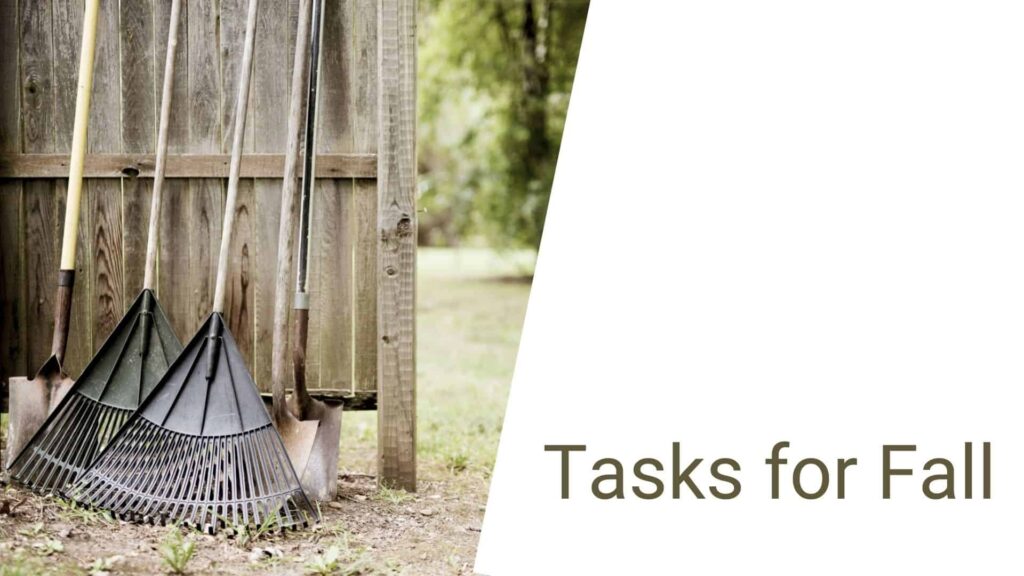 Fall maintenance tasks