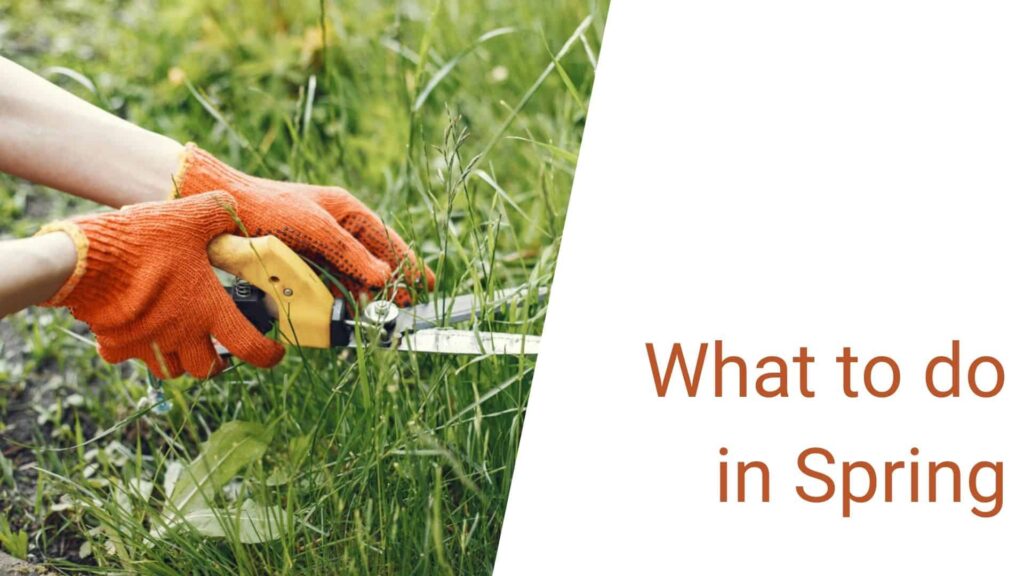 Spring Maintenance Tasks
