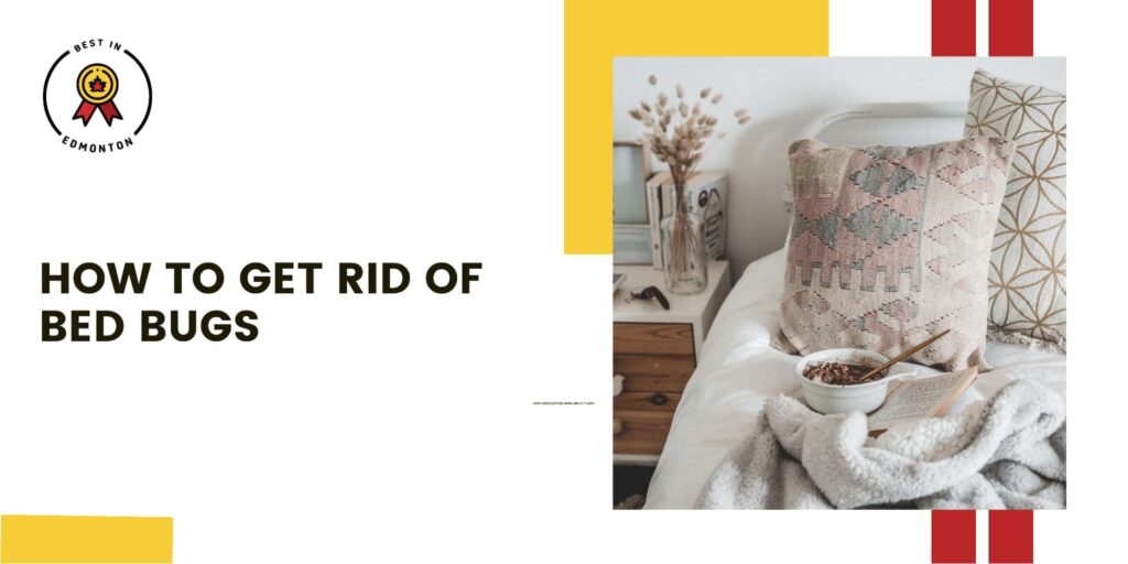 How to Get Rid of Bed Bugs