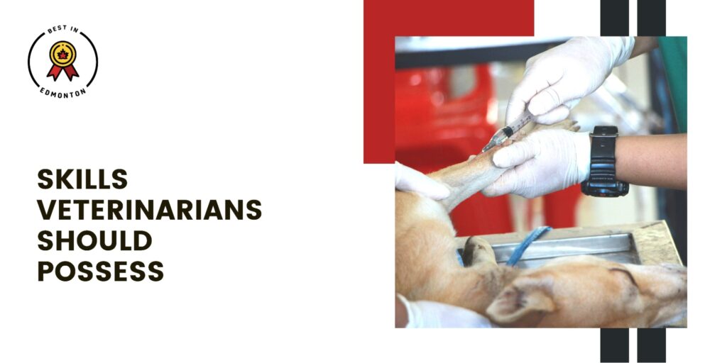 Skills Veterinarians Should Possess