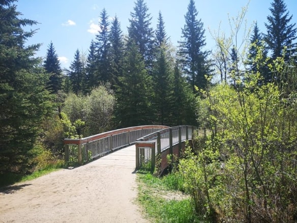 Whitemud Creek Ravine Trail