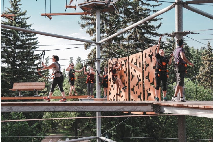 Climb the Aerial Park Tower