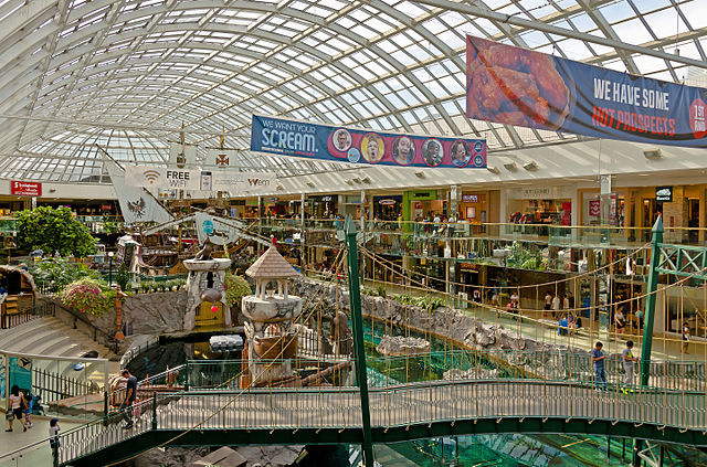 Discover marine life at Sea Life Caverns