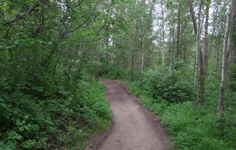 Discover the park’s trails