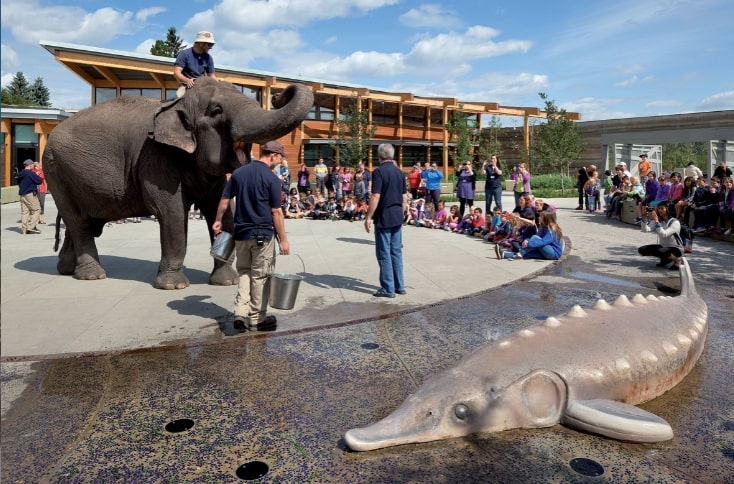 Edmonton Valley Zoo