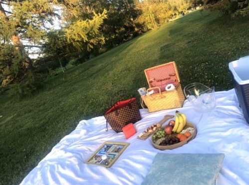 Go on a nice picnic with friends