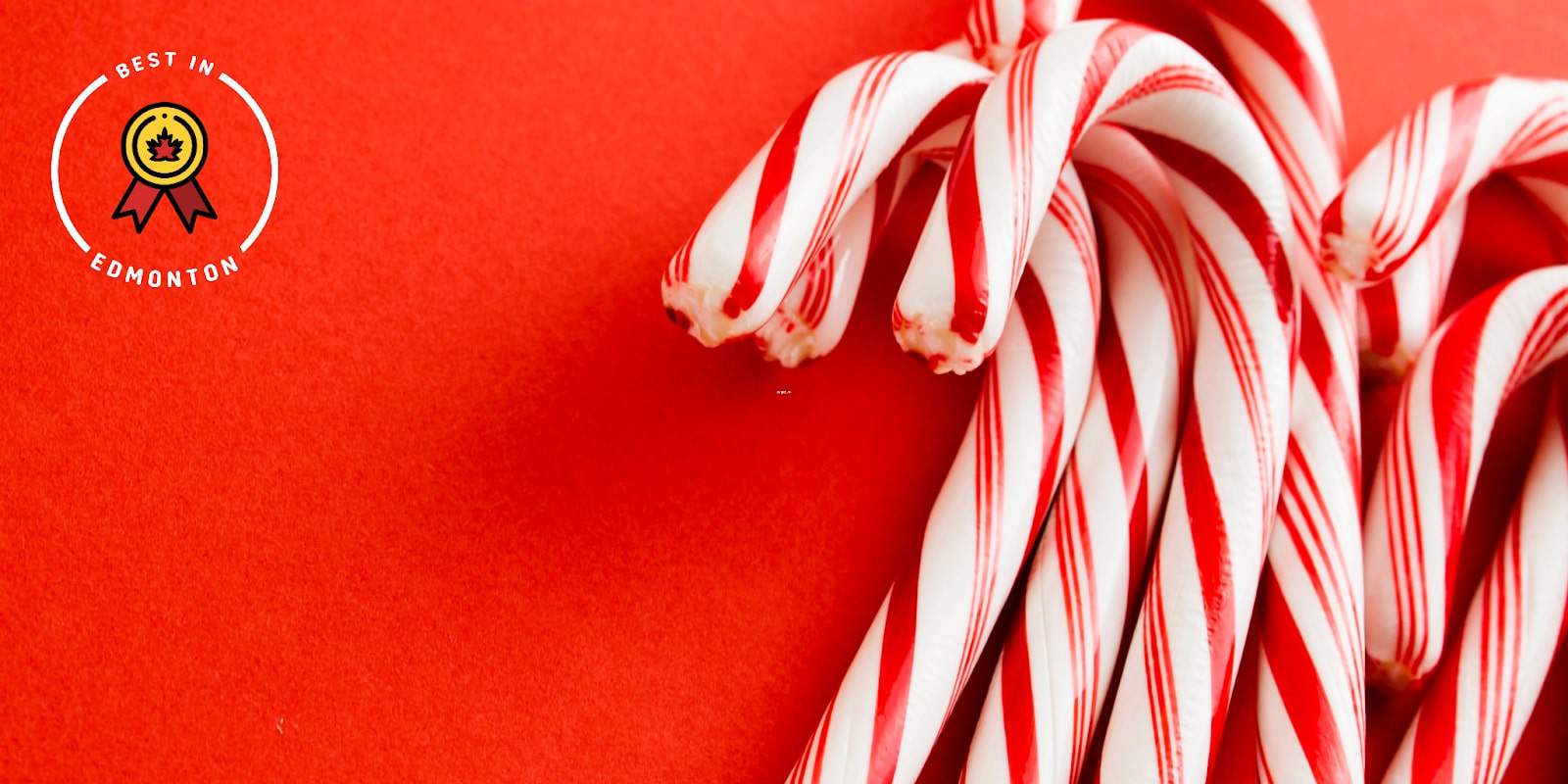 Sweeten Up Your December in Candy Cane Lane