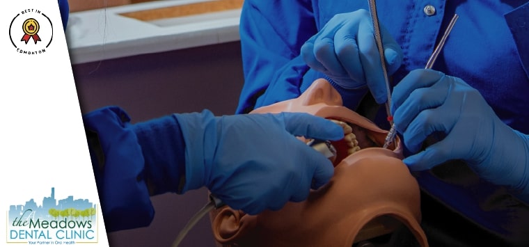 The Meadows Dental Clinic - Dr. Vatsal Goghari