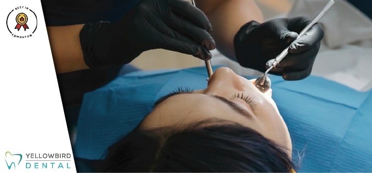 Yellowbird Dental