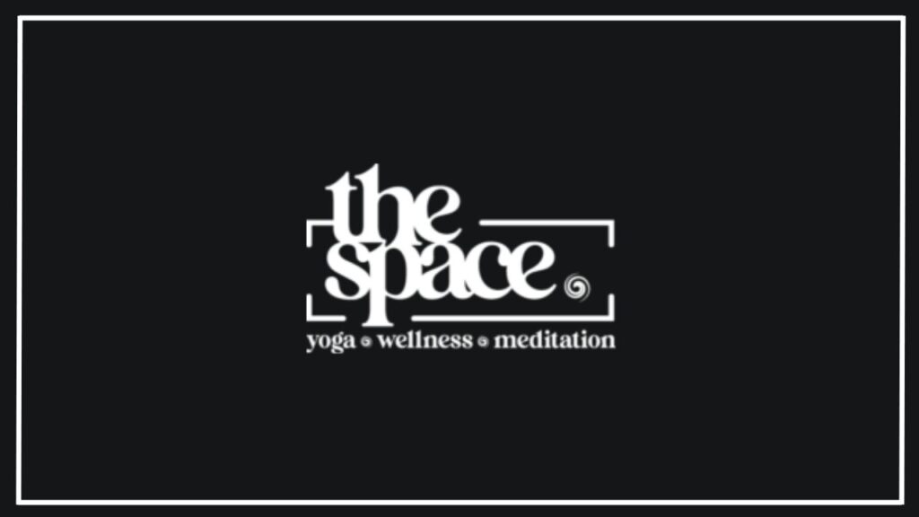 the space logo