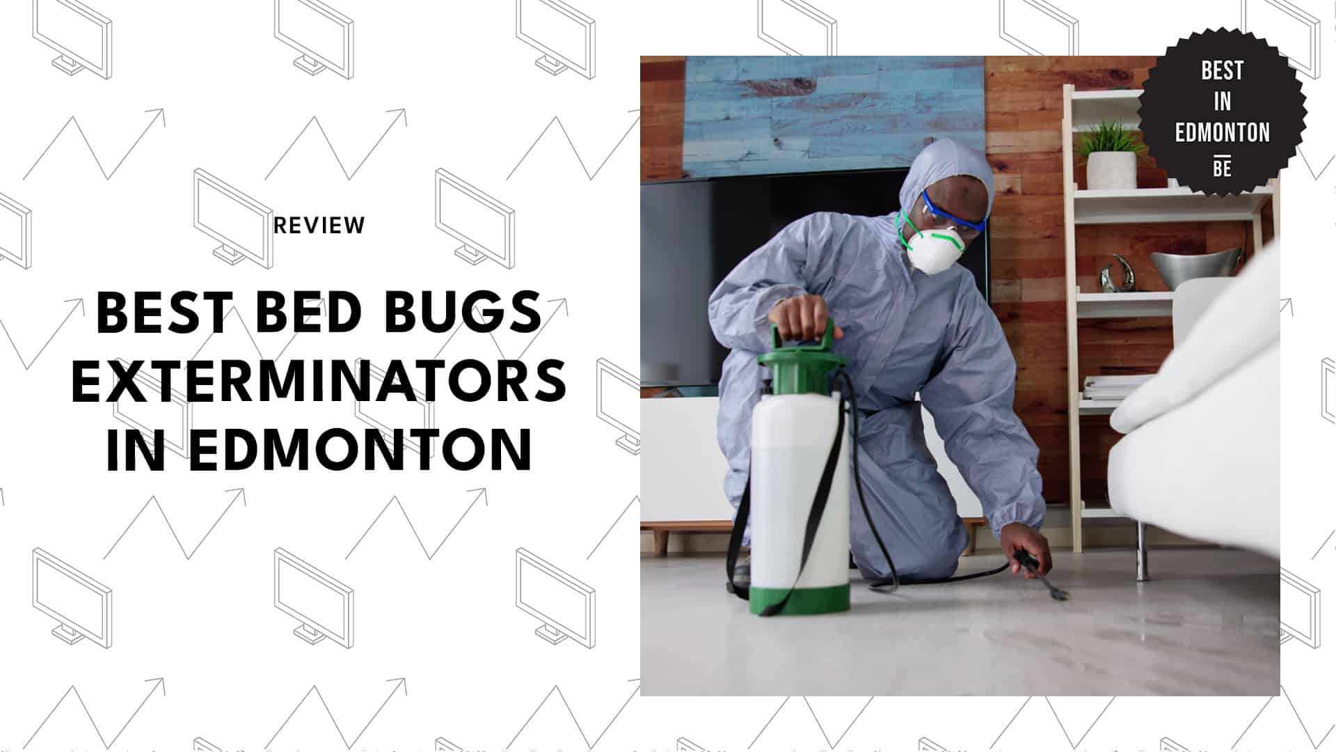 bed-bugs-edmonton