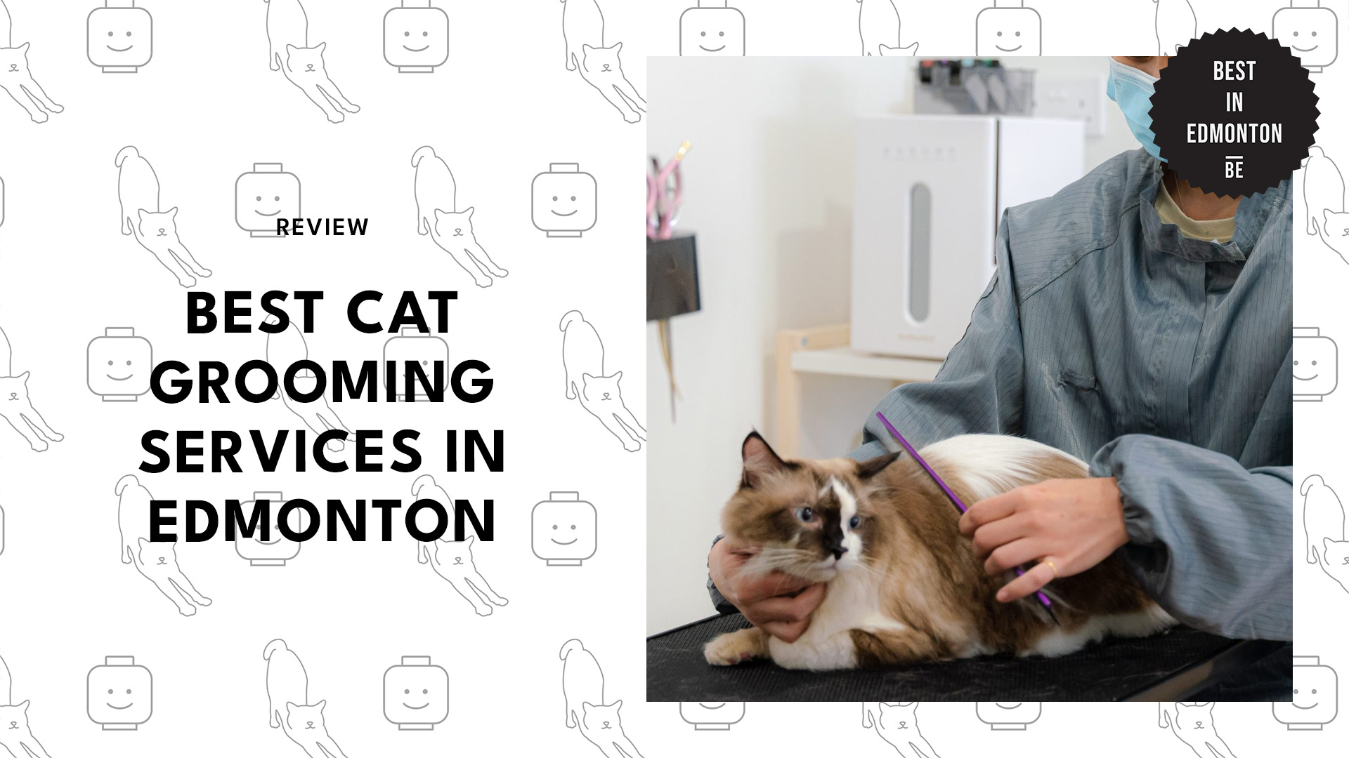 best-cat-grooming-edmonton-banner