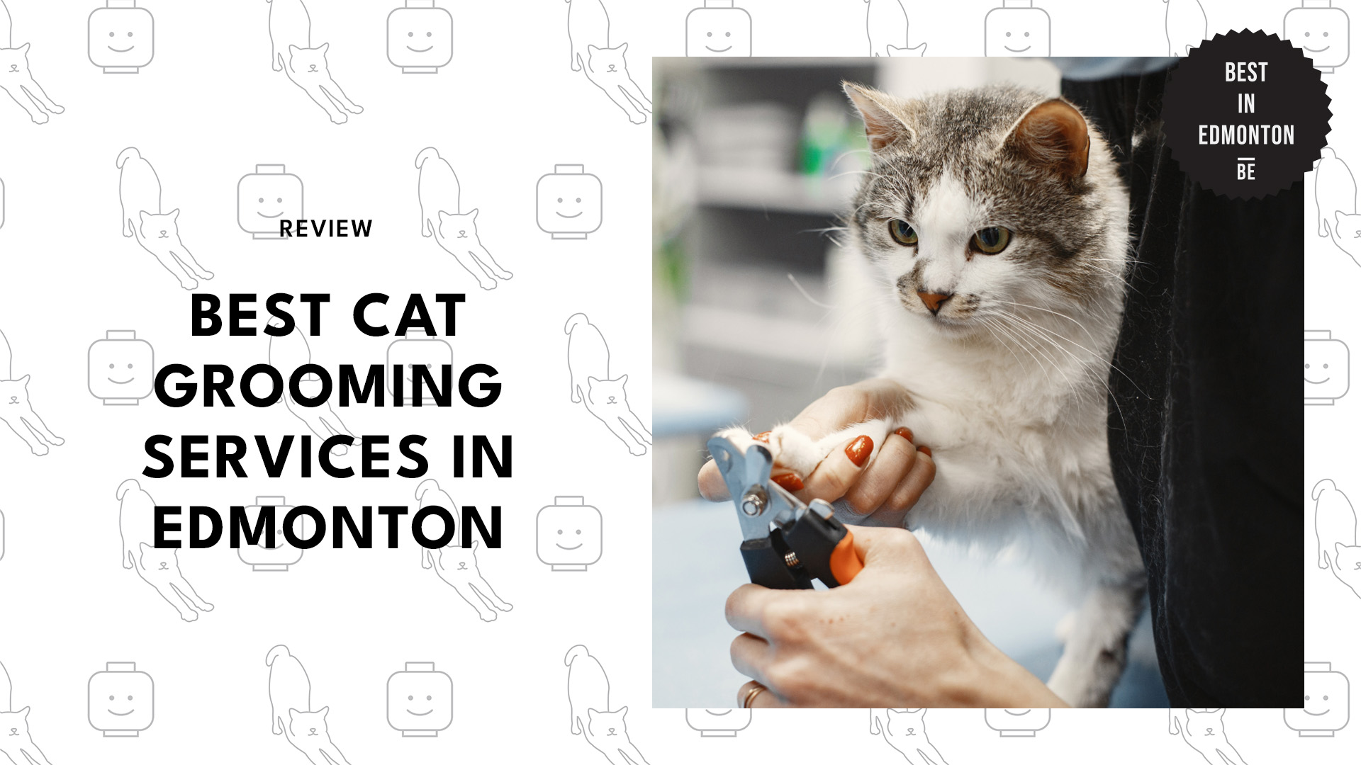 best-cat-grooming-services-edmonton