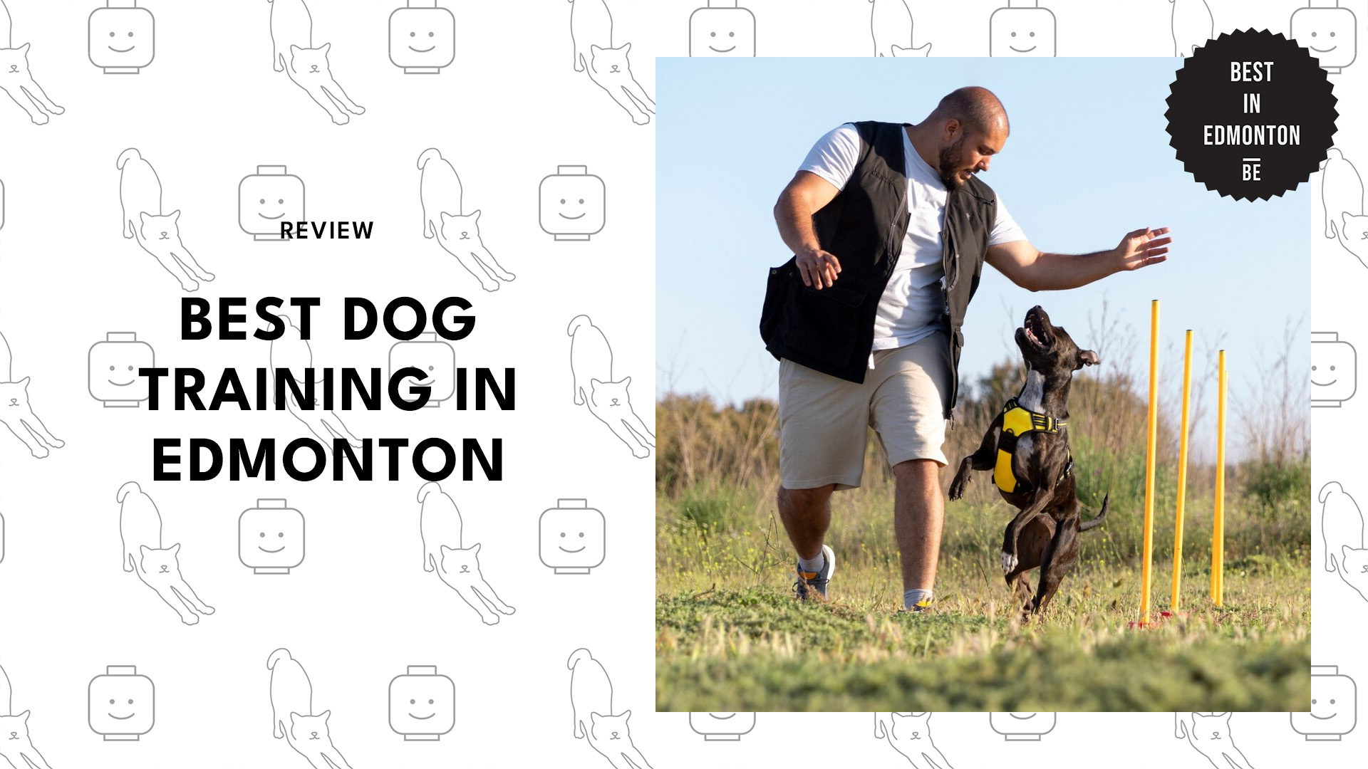 best-dog-training-edmonton