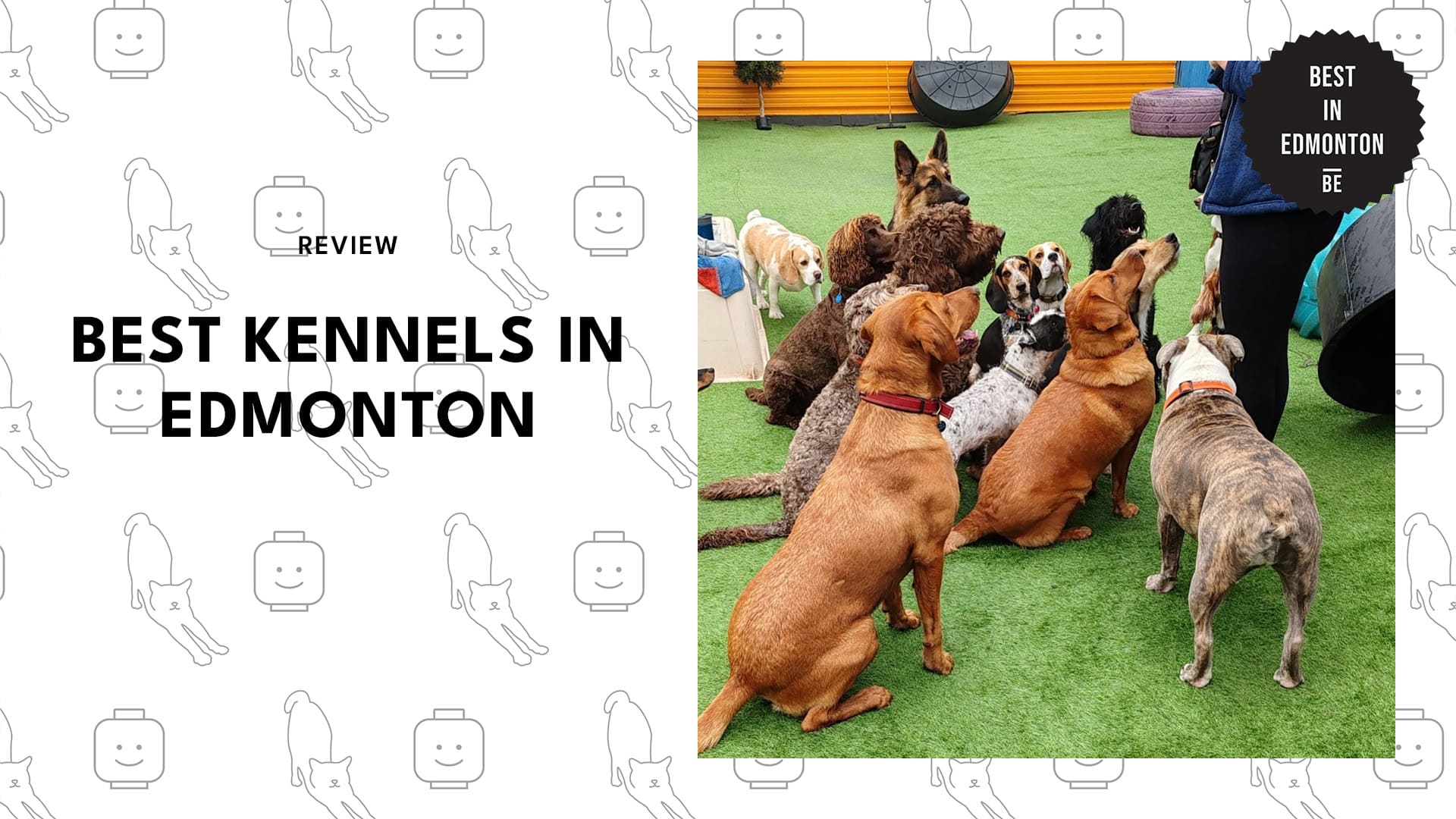 best-kennels-edmonton