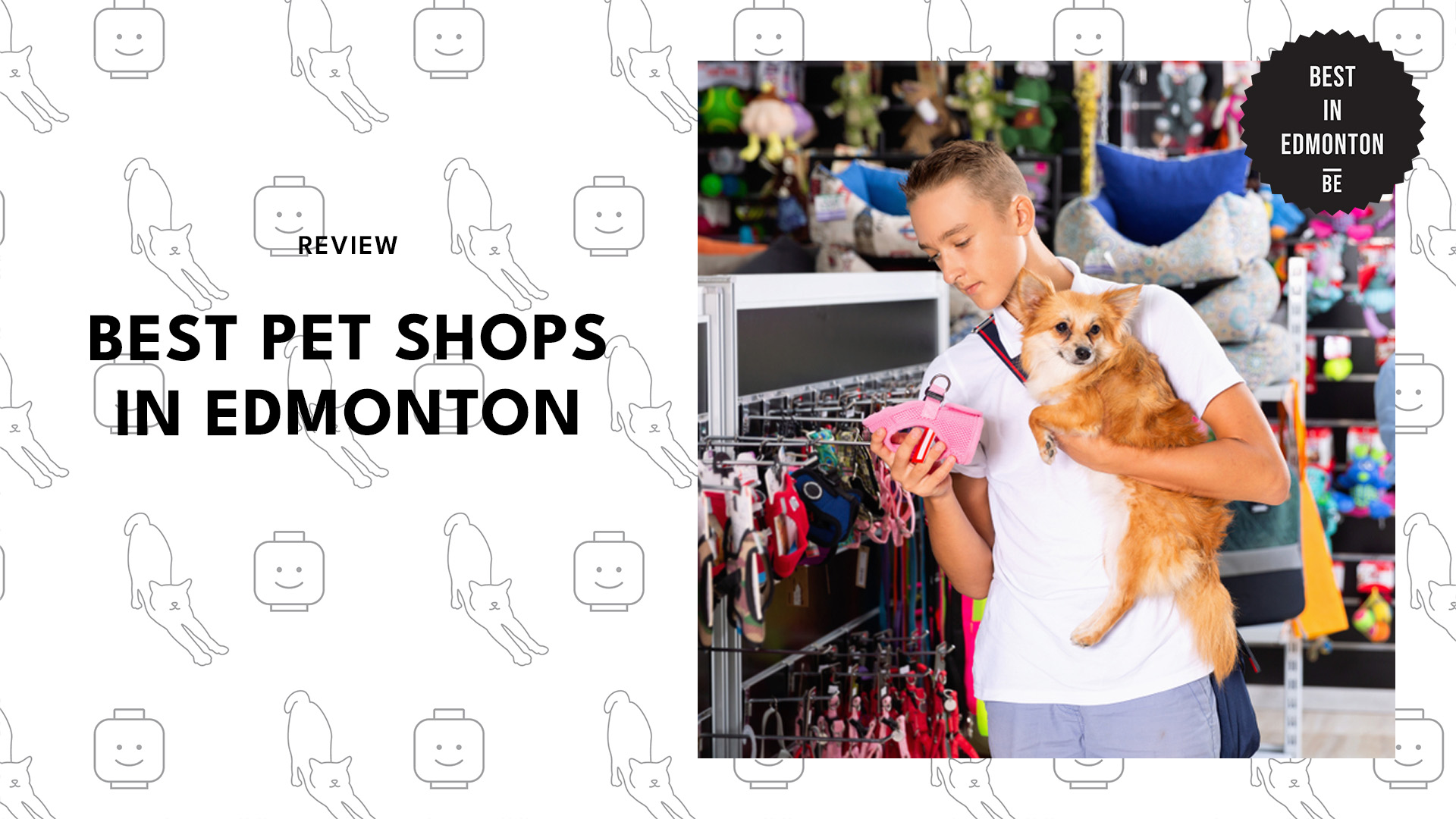 best-pet-shops-edmonton-banner
