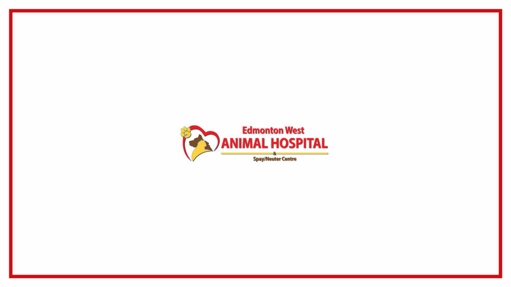 edmonton-west-animal-hospital-logo