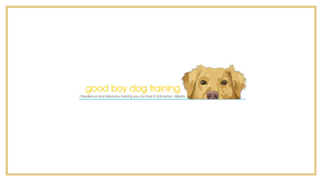 good-boy-training
