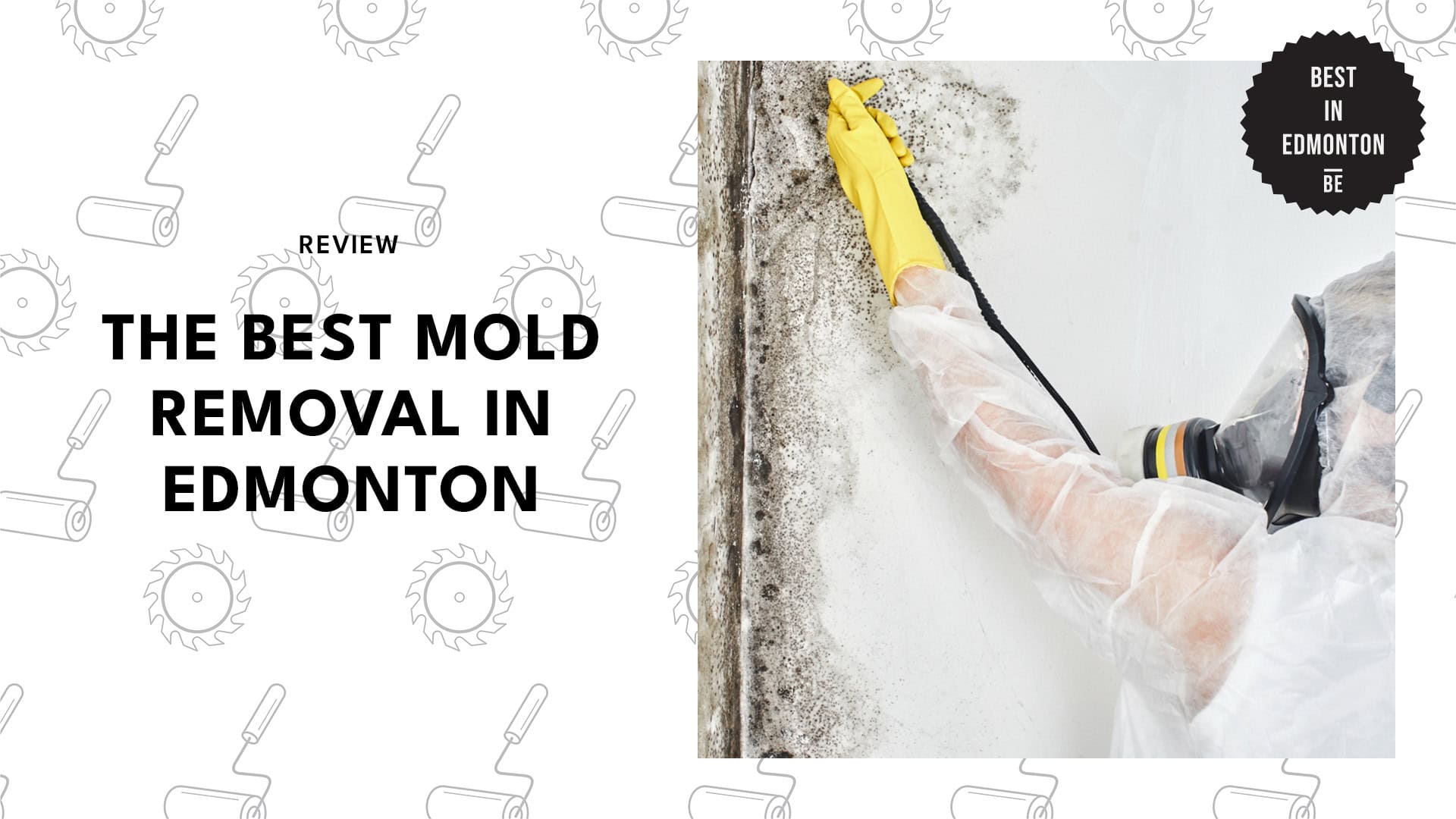 mold-removal-edmonton