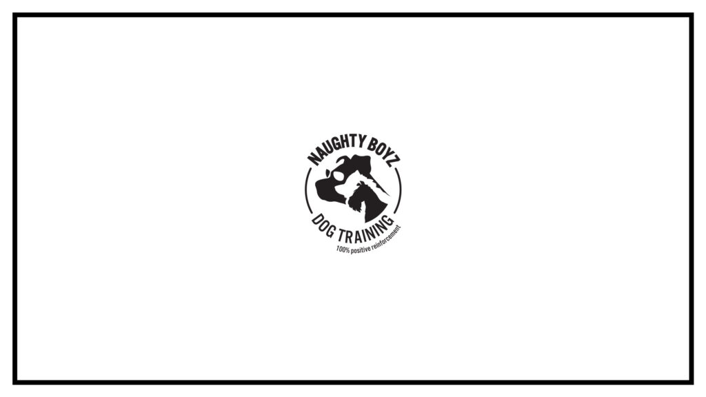 naughty-boyz-training