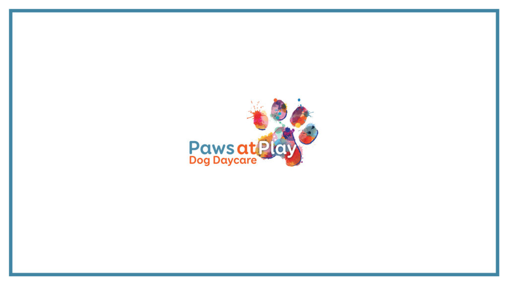 paws-at-play