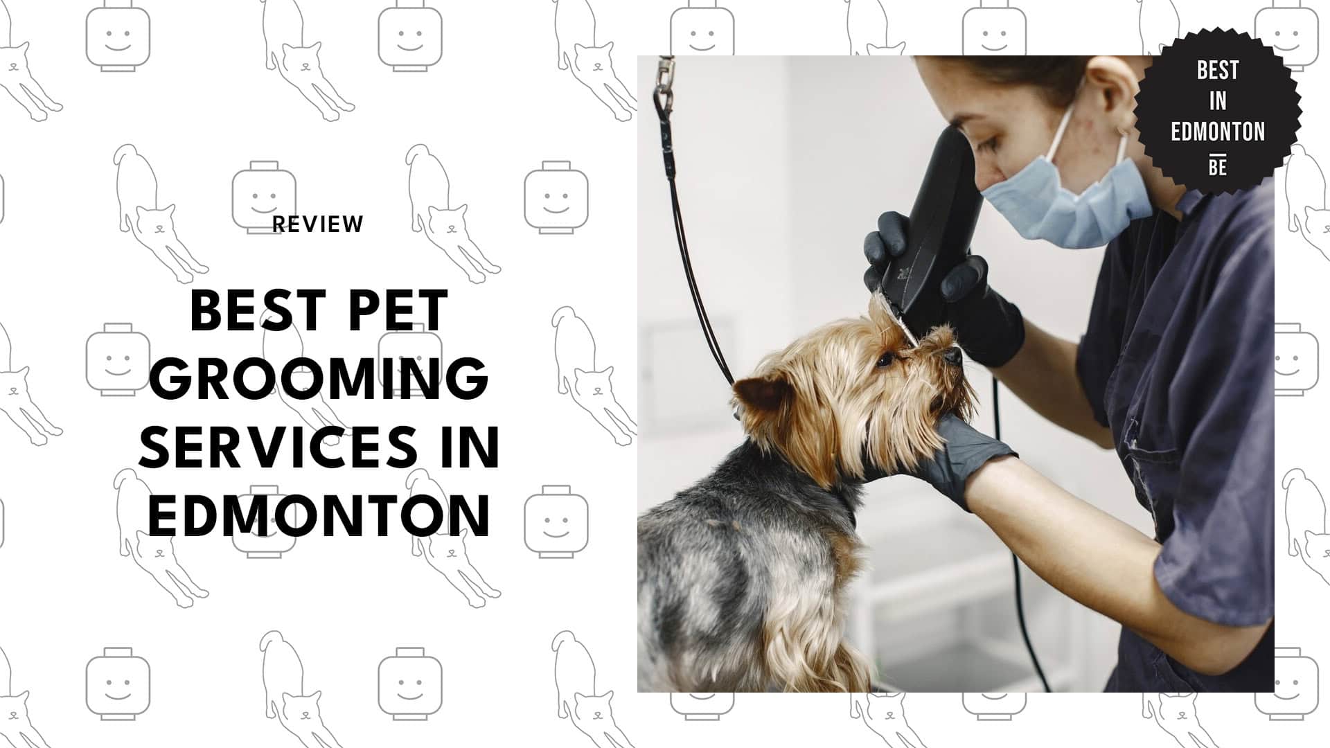 pet-grooming-services-in-edmonton