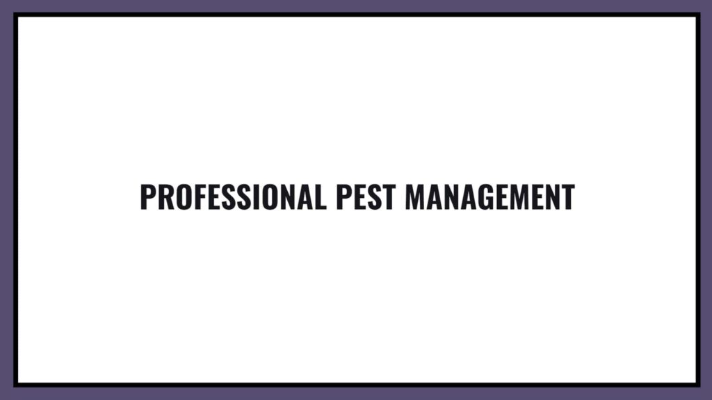 professional-pest-management