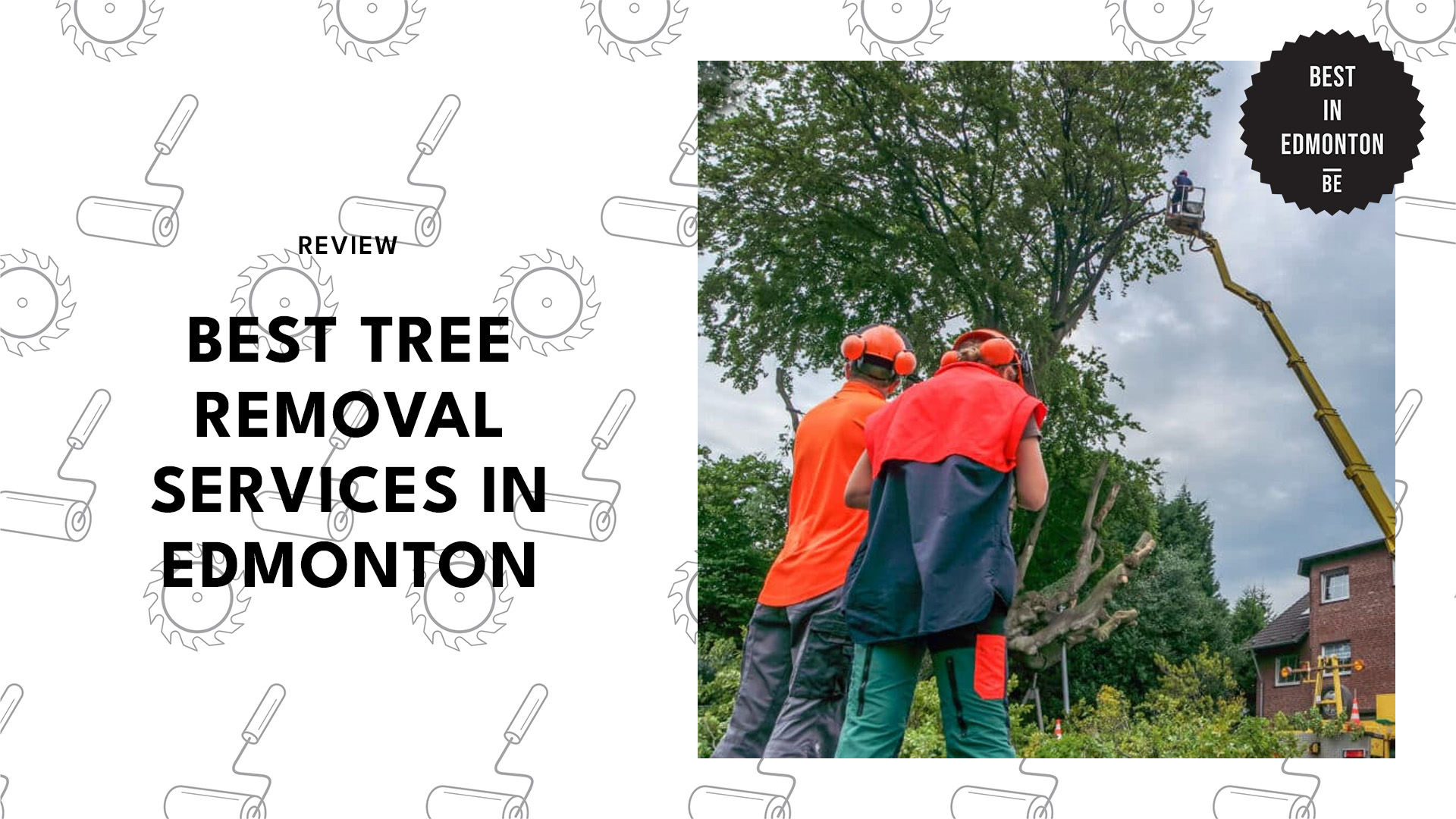 tree-removal-edmonton-banner