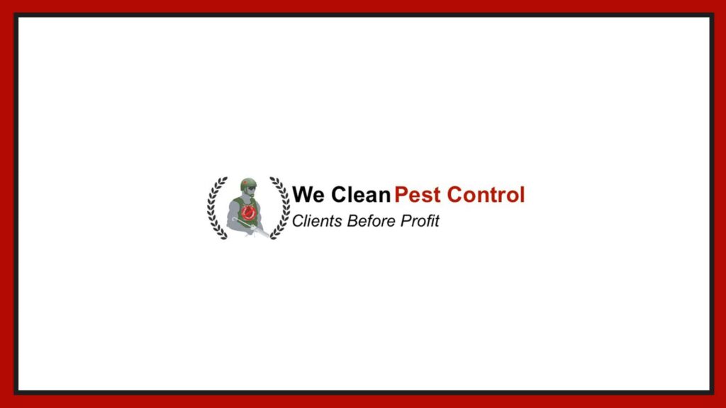 we-clean-bed-bugs
