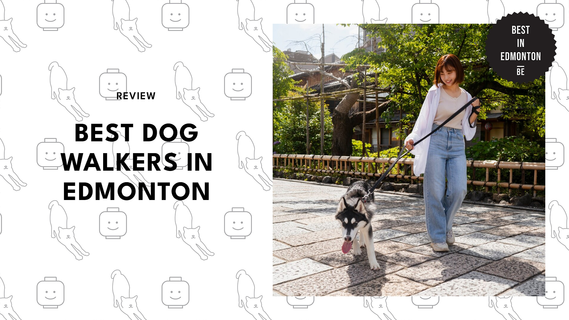 Best Dog Walkers in Edmonton