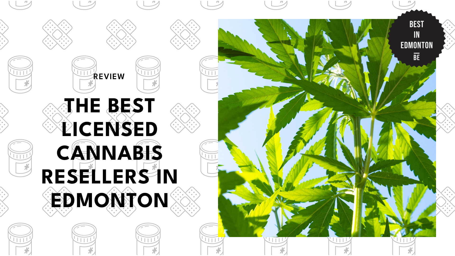 best-licensed-cannabis-resellers-edmonton