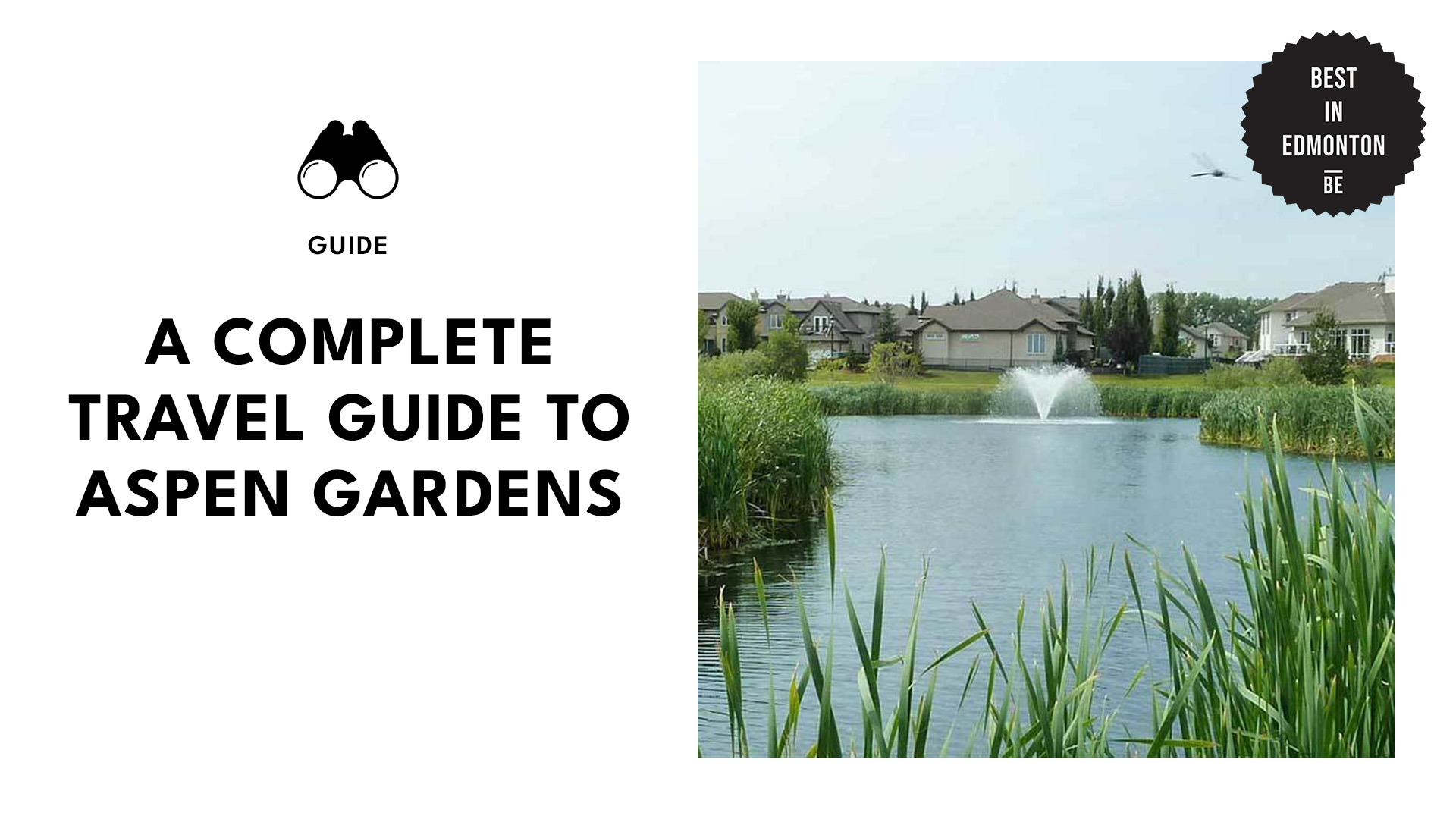 ultimate-guide-to-aspen-garden