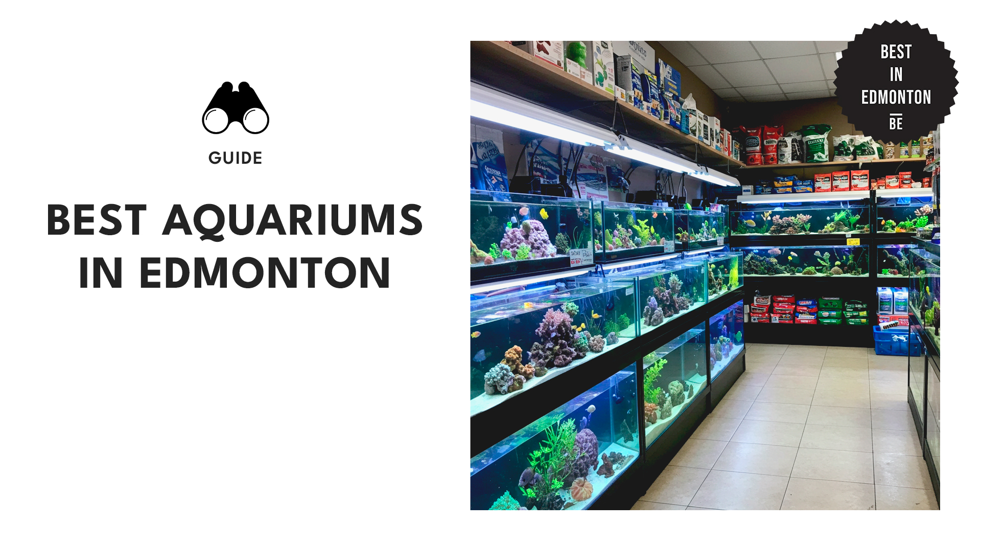 best-aquariums-edmonton