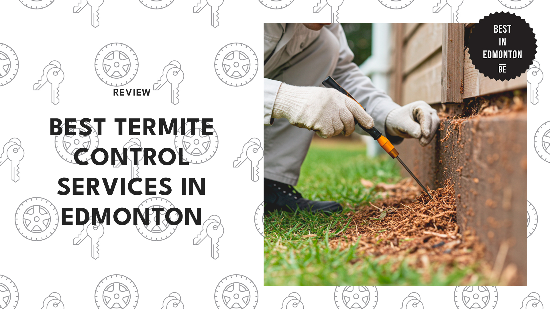 best-termite-control-edmonton