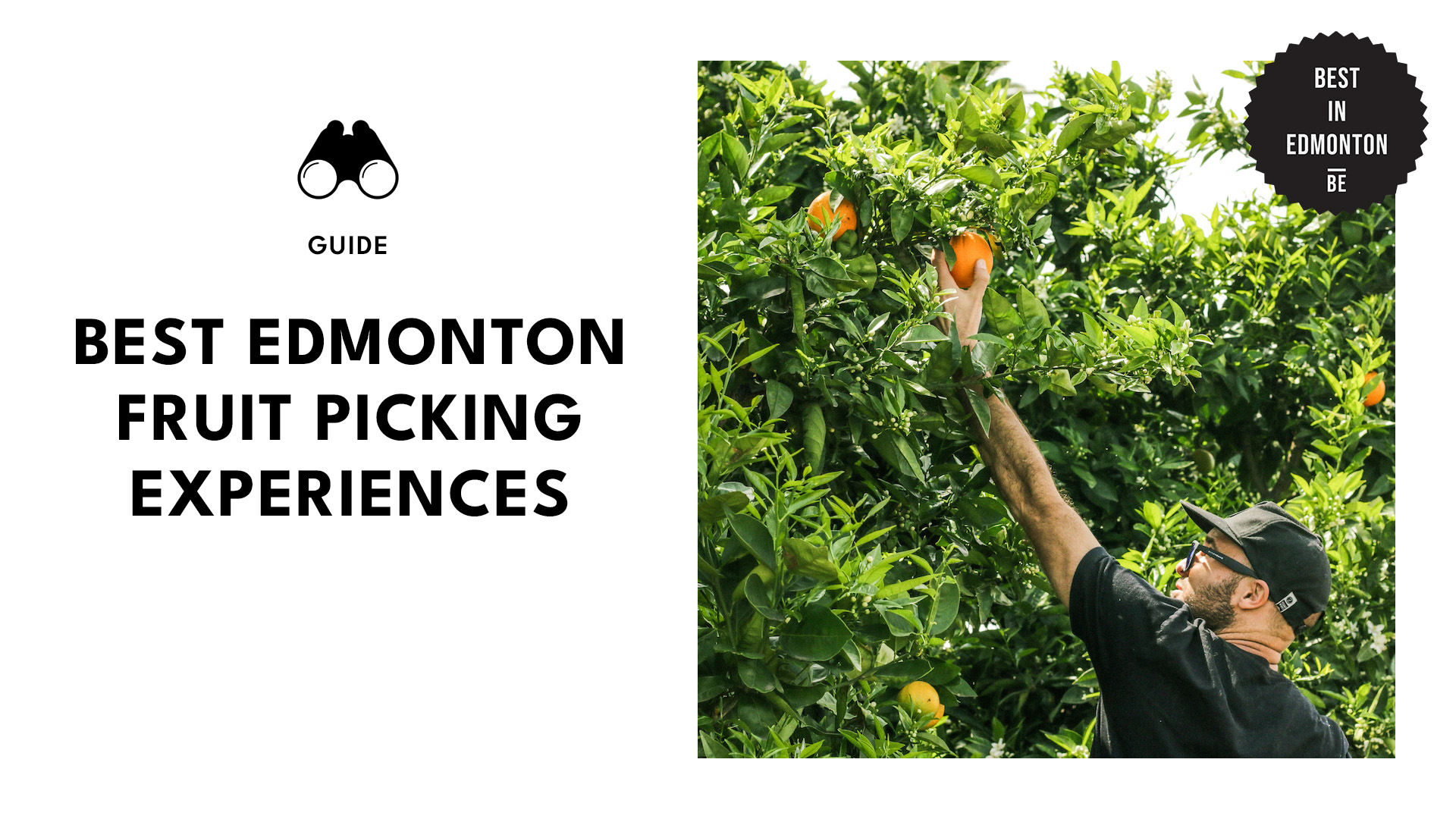 best-fruit-picking-experiences-edmonton